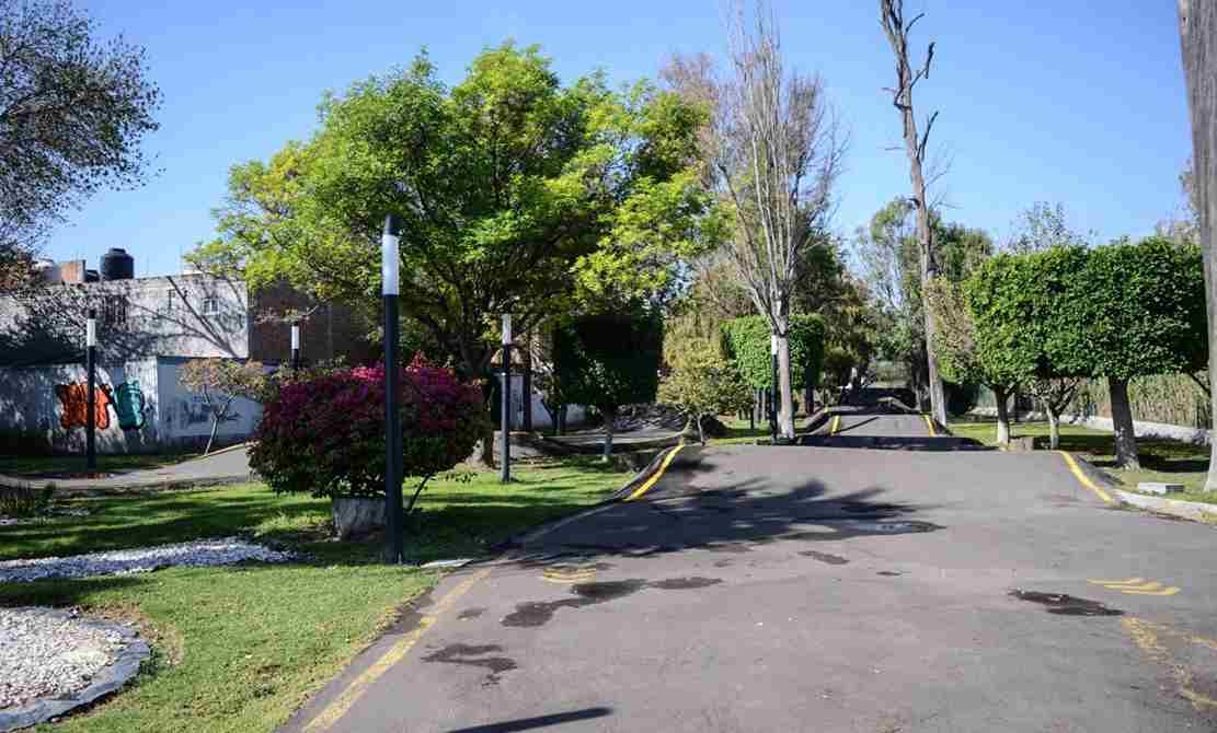 Listo decreto de área natural protegida del Parque Alcanfores