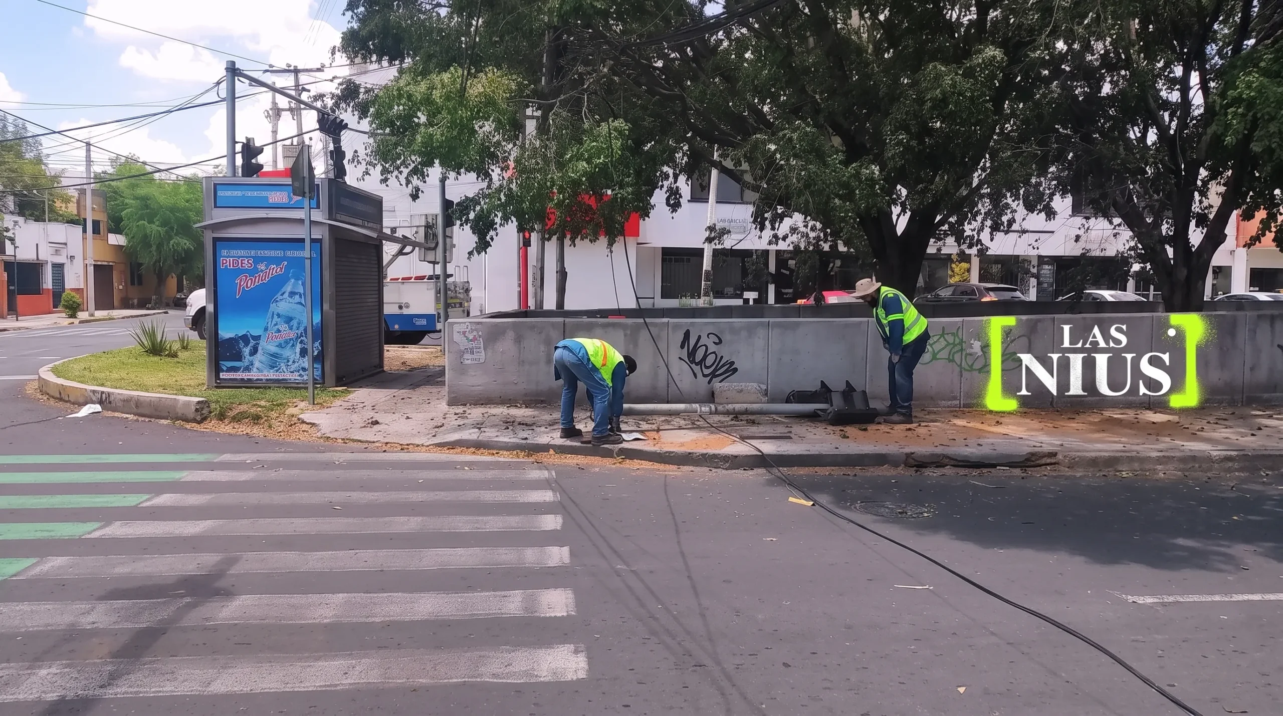 Gravedad derrota viejo árbol tirando señal de teléfonos